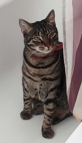 519f772c-1540-4826-a07d-e83ca9fd370c