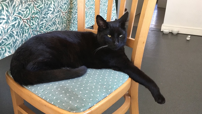 c6185385-f5aa-46bc-95c0-1a22cd36df3b