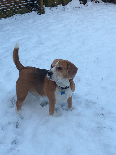 9901A7B0-9322-48EF-9E10-579EF08ABAED