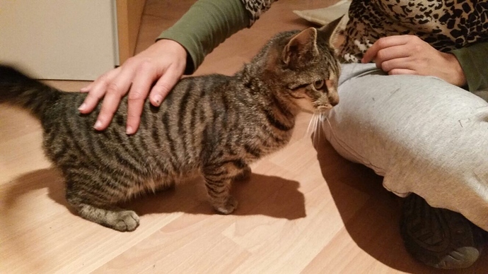 F8F2E6DC-B268-4848-9722-4C51B322B823