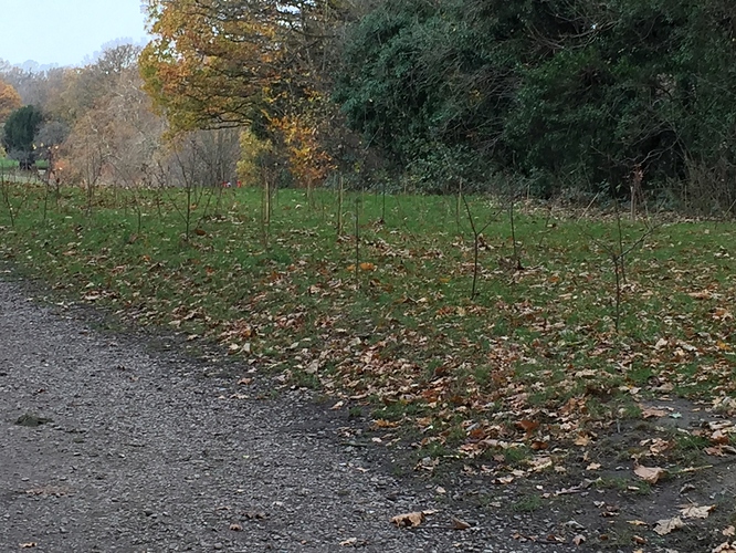 F67DA6BA-BA31-4495-99B3-E194194F02D4