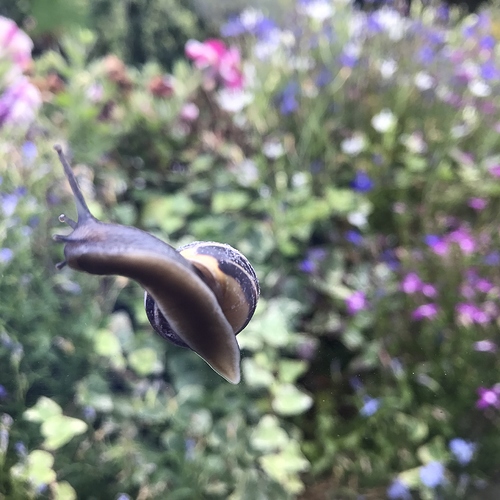 3B4AEF52-53EC-483A-9841-4FE835C44B74