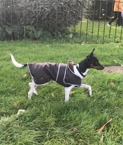 221ED623-D480-4B01-AB3B-E0653A14A283