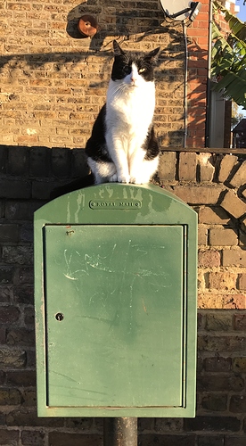 D6E35ECA-C70A-47F3-8084-1FEE07FC488A