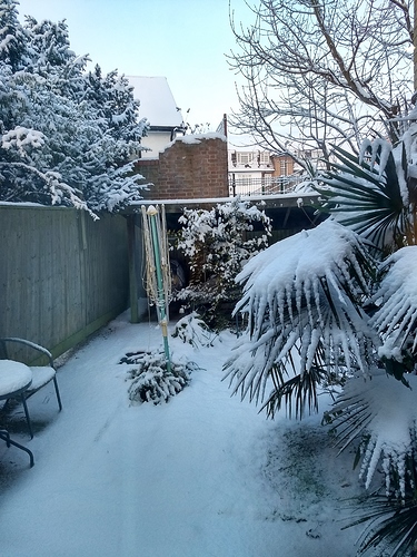 IMG_20180228_065254741_HDR