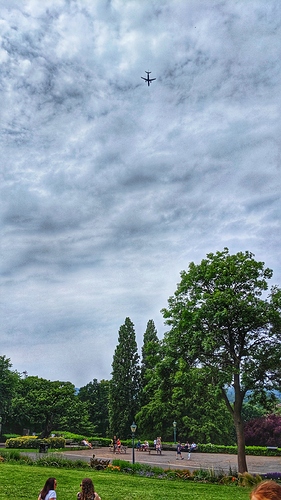 IMG_20190623_131021-01