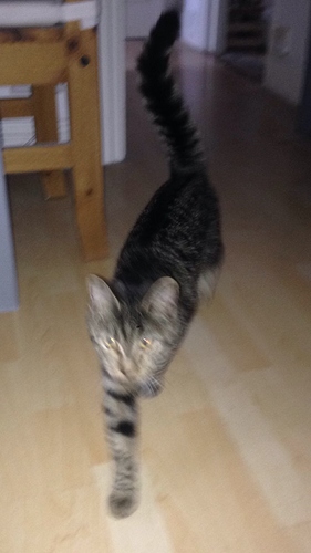 585522F4-C703-4FF8-8BCE-0E56BF6E3419