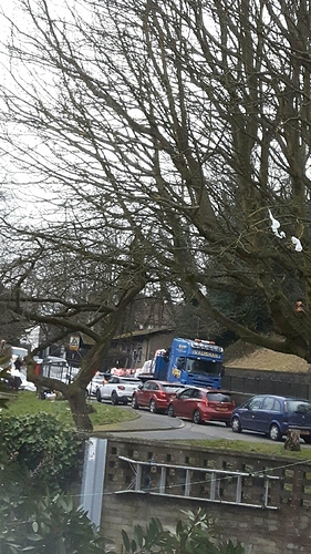 received_10208710049586865