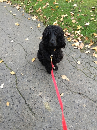 1653C683-485C-4E30-9761-0C3BD43F89E4