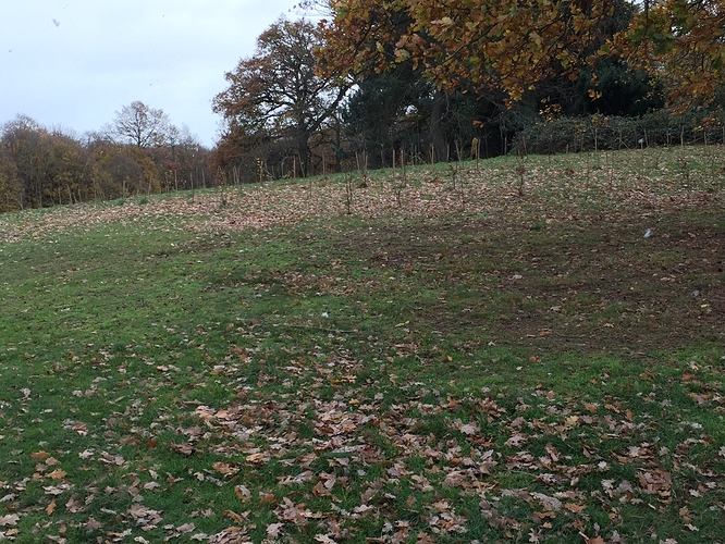 28B1D775-474B-4EEA-9965-ABFDB83621DE