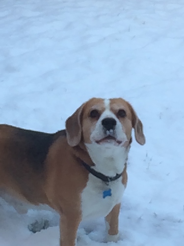 E565FDD5-4EF3-40F9-B40F-DF3ED9531A88