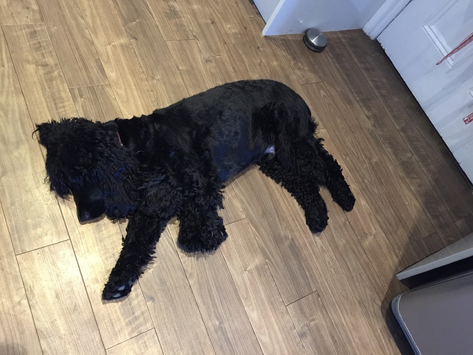 A5E78974-2670-4D2C-8173-DA42B453A6B5