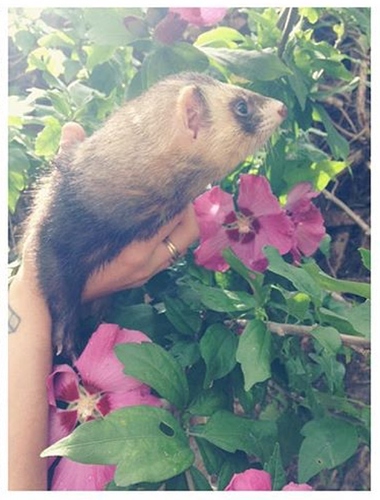 1F099BAB-10C3-4569-B18F-DDC9301CDD76