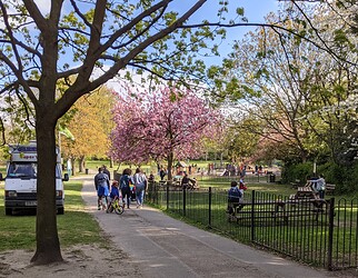 PXL_20210425_151933113