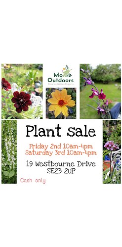 inbound5349399216397329877