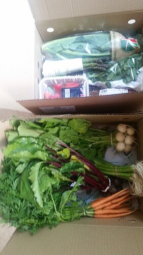 38c22a1bf768fc99f2b4aca6fcb9c58c5c72ee2d_2_562x1000