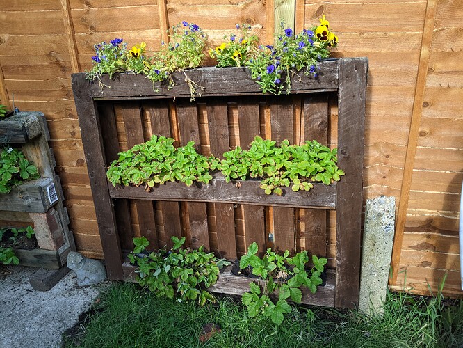 PXL_20210703_170517959