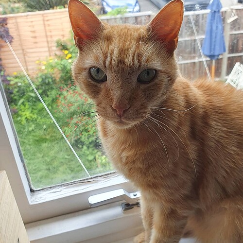 IMG_20210714_083230_169