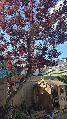 15894420571672526281722059567338