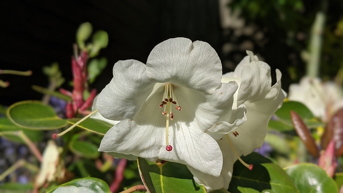 00100lPORTRAIT_00100_BURST20200517171226976_COVER