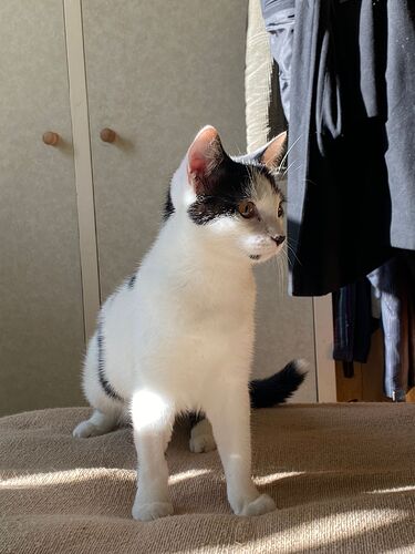 PHOTO-2022-01-23-17-11-42