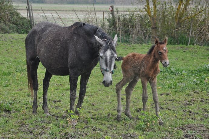 156085171_10164866827200117_6806520125521785366_o