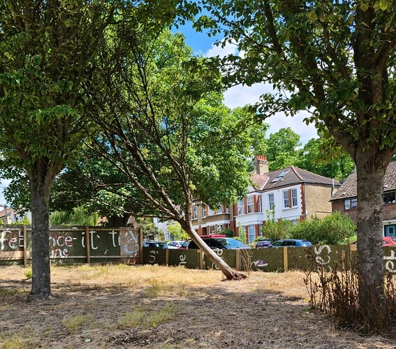 Screenshot_20210605-145545_Photos