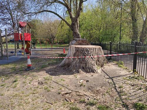 signal-2021-04-30-103339