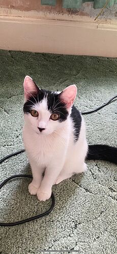 PHOTO-2022-01-23-17-11-40