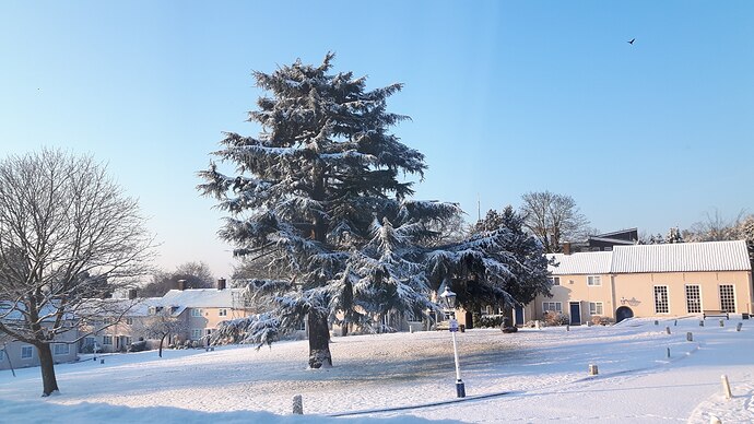 c Jane Ford - Lammas Green in the snow 20180228_074928