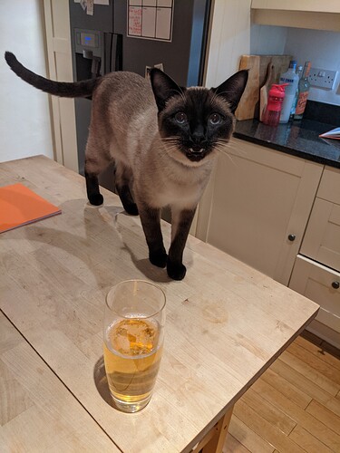 PXL_20210226_184155308