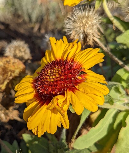 PXL_20211116_121926858