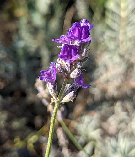 PXL_20211116_121956925