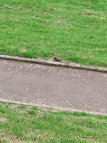 IMG_20200630_080323_BURST1