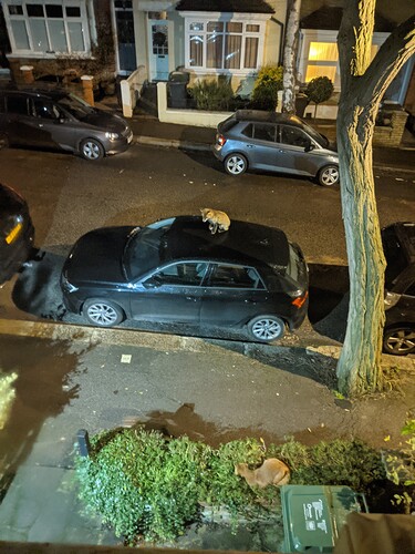 PXL_20210104_003046939.NIGHT