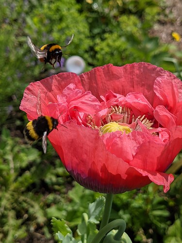 PXL_20210625_110705004