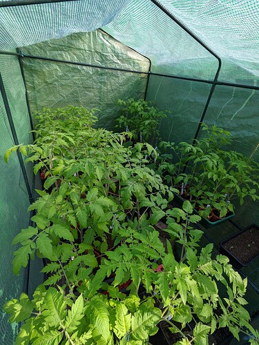 PXL_20210421_084055237