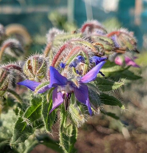 PXL_20211116_121859908