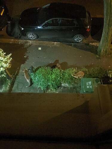 PXL_20210104_002933372.MP