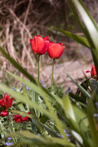 inbound4475572307551508881