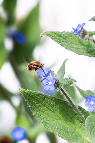 inbound8387815893066846352