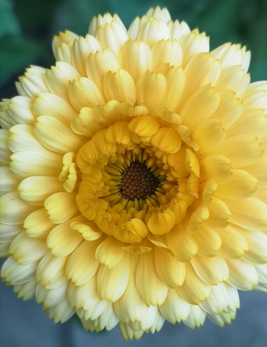 inbound6834402317532816166