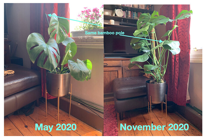 Screenshot 2020-11-25 at 17.06.25