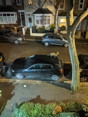 PXL_20210104_003008616.NIGHT