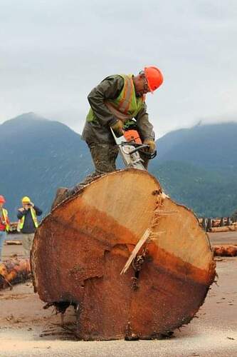 FB_IMG_1637436179790