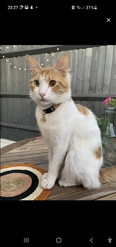 Screenshot_20210725-232749_Nextdoor