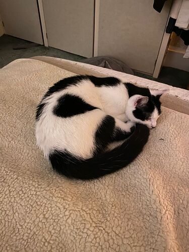 PHOTO-2022-01-23-17-11-41