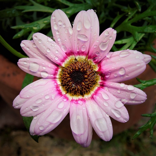 106572622_10157363166387727_6663521508307962122_o