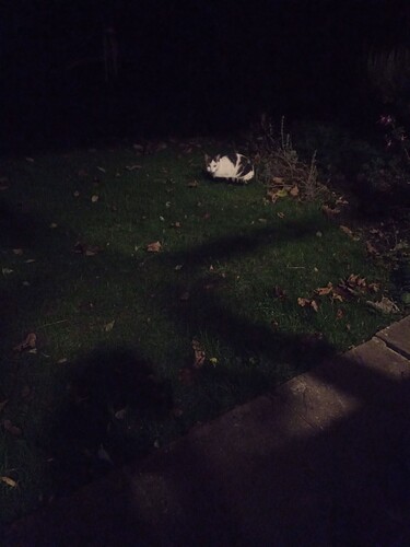 124219582_352137866081916_6298683147379726040_n