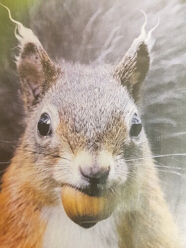 16367384273815311583952552006587